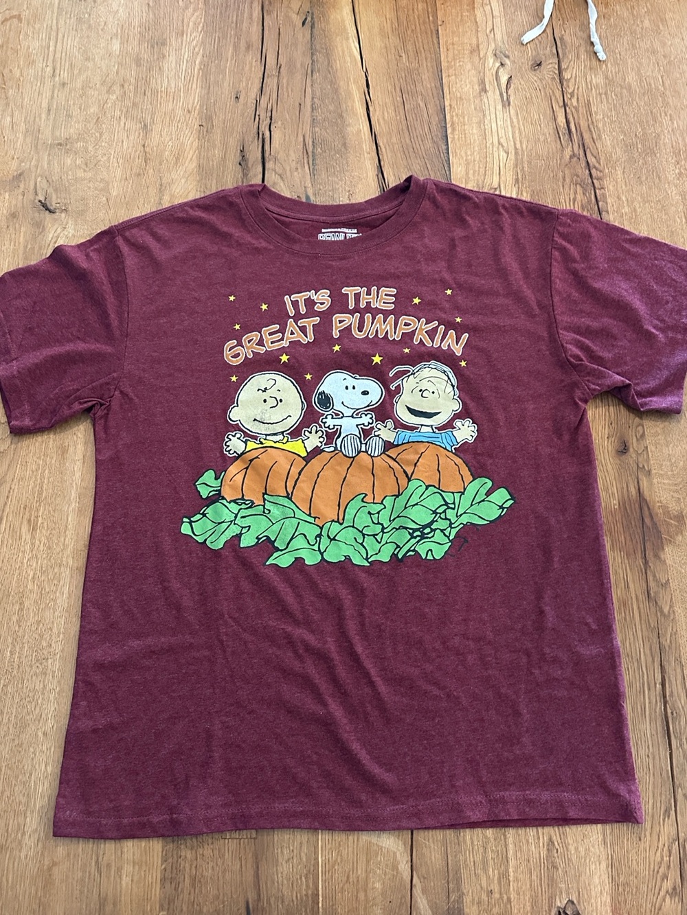 Peanuts Graphic t-shirt Great Pumpkin Charlie Brown Snoopy